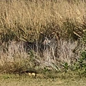 Meet your Posher, Adam